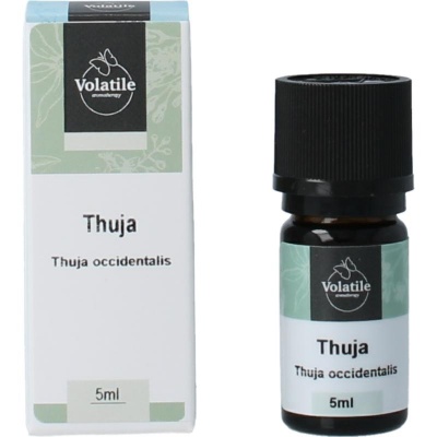 Volatile Thuja