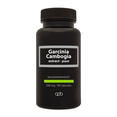Apb Holland Garcinia cambogia 290mg puur