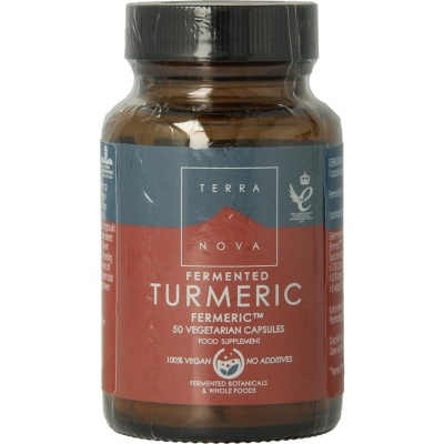 Terranova Fermented turmeric 350 mg