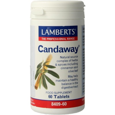 Lamberts Candaway