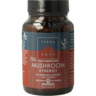 Terranova Mushroom synergy complex