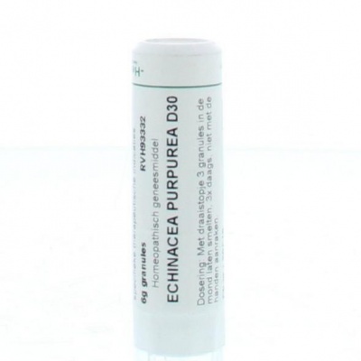 Homeoden Heel Echinacea purpurea D30 Homeoden Heel Echinacea purpurea D30