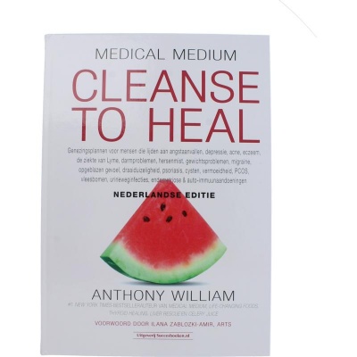 Succesboeken Cleanse to heal Nederlandse editie Succesboeken Cleanse to heal Nederlandse editie