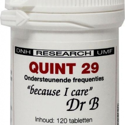 DNH Quint 29