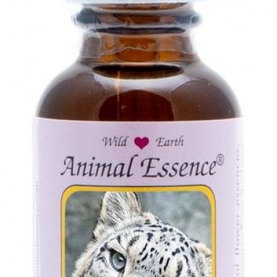 Animal Essences Snow leopard (sneeuwluipaard)