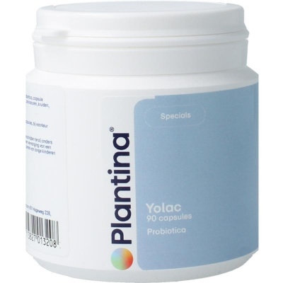 Plantina Yolac Plantina Yolac