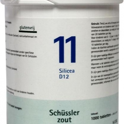 Pfluger Silicea 11 D12 Schussler Pfluger Silicea 11 D12 Schussler