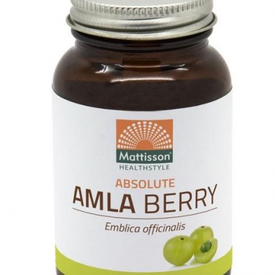 Mattisson Absolute amla berry extract 500 mg