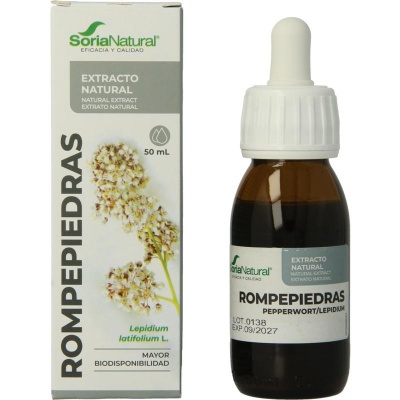 Soria Lepidium latifolium XXI Soria Lepidium latifolium XXI