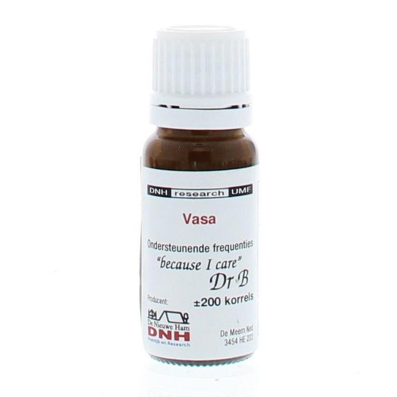 DNH Vasa - 200 stuks
