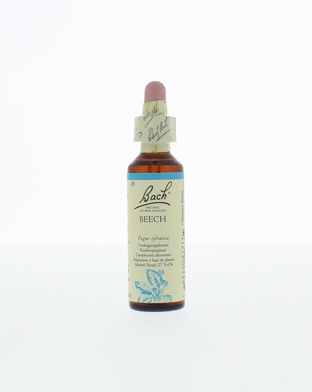 Beech / beuk - 20 Milliliter