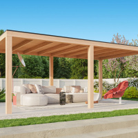 Foto van Kirk and Michaels Douglas overkapping Geta Slim 500x300 - 14x14