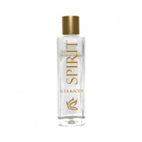 Foto van inSPAration Signature Aromatherapy - Spirit Soul & Body (236 ml) (O)