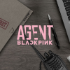 Afbeelding van [Pre Order] Blackpink - The Game Photocard Collection - Agent Blackpink