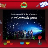[Pre Order] Stray Kids - Fan Connecting 2024 - SKZ Toy World - Blu-Ray - Standard Edition