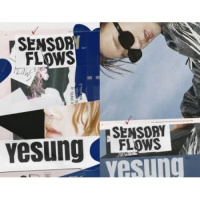 Vol.1 [Sensory Flows]