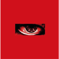 G-Dragon - Kwon Ji Yong - USB Album