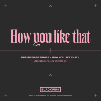 How You Like That - Special Edition