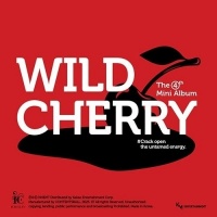 Ichillin' - Wild Cherry - Photobook