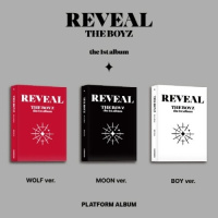 Reveal - Platform - Boy