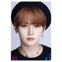 [DICON] D’FESTA Stray Kids - Seungmin