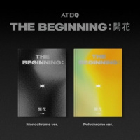 The Beginning - Polychrome Ver.