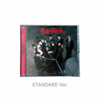 &team - Go In Blind - Standard Ver.