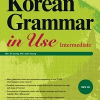 Korean Grammar in Use - Intermediate