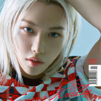 Dicon Vol N21 - Suimmer Krazy - Felix