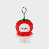 Mini Minini Fruit Doll - Keyring (RJ)