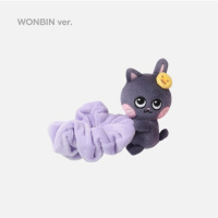 Riizing Day Finale Scrunchie - Wonbin