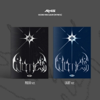 All(H)ours - Witness - Prism - Black