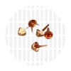 Afbeelding van Basic | Tasvoetjes | Rose Gold