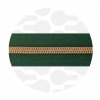 Picture from Pine Green - #5S Rose Gold | Nylon Coil Zipper Tape | 10 meter