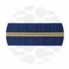 Picture from Blueberry - #S5 Gold | Nylon Coil Zipper Tape | 1 meter