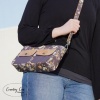 Image de That cute Purse - patron