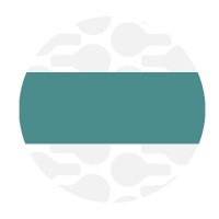 Seaspray Teal - #S5 Gold | Nylon Coil Zipper Tape | 1 meter