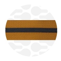 Pumpkin Spice - #S5 Black | Nylon Coil Zipper Tape | 3 meter