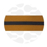 Pumpkin Spice - #S5 Black | Nylon Coil Zipper Tape | 10 meter