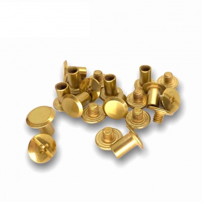 Foto van Boekschroeven 10x8 | Gold