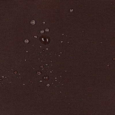 Photo of Brownie (47) | Waterproof Polyester Canvas