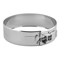 Dubbelwandig rookkanaal klemband Ø250mm