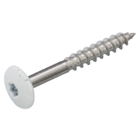 HPL-plaatschroeven 4.8 x 38 TX-20 RVS A2 crème RAL 9001