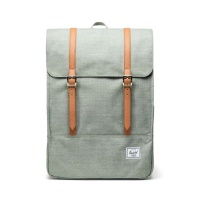 Foto van Herschel Rugtas Survey Iceberg Green Crosshatch