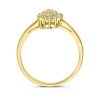 Afbeelding van 14 krt geelgouden ring met zirkonia 4030846