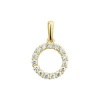 Afbeelding van 14 krt geelgouden hanger 4018675