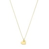 Afbeelding van 14 krt geelgouden collier met harthanger en zirkonia 4029536