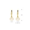 Afbeelding van Gouden oorhangers 4022977