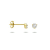 Afbeelding van Gouden oorknoppen 4023627