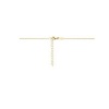 Afbeelding van 14 krt geelgouden collier met hanger 4034710